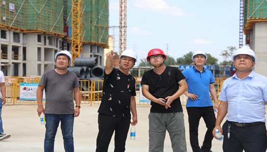 米兰app网站官网董事会巡检圆满完成